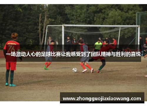 一场激动人心的足球比赛让我感受到了团队精神与胜利的喜悦